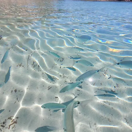 דירה Cosy Flat Il Melo