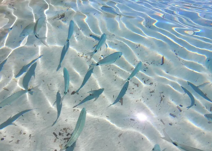 Cosy Flat Il Melo Апартаменты *